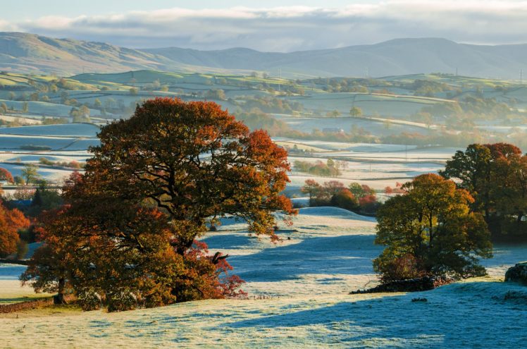 hills, Autumn, Frost, Trees, Fields HD Wallpaper Desktop Background