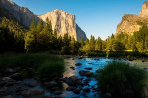 yosemite, National, Park, Panorama, Forest, Mountains