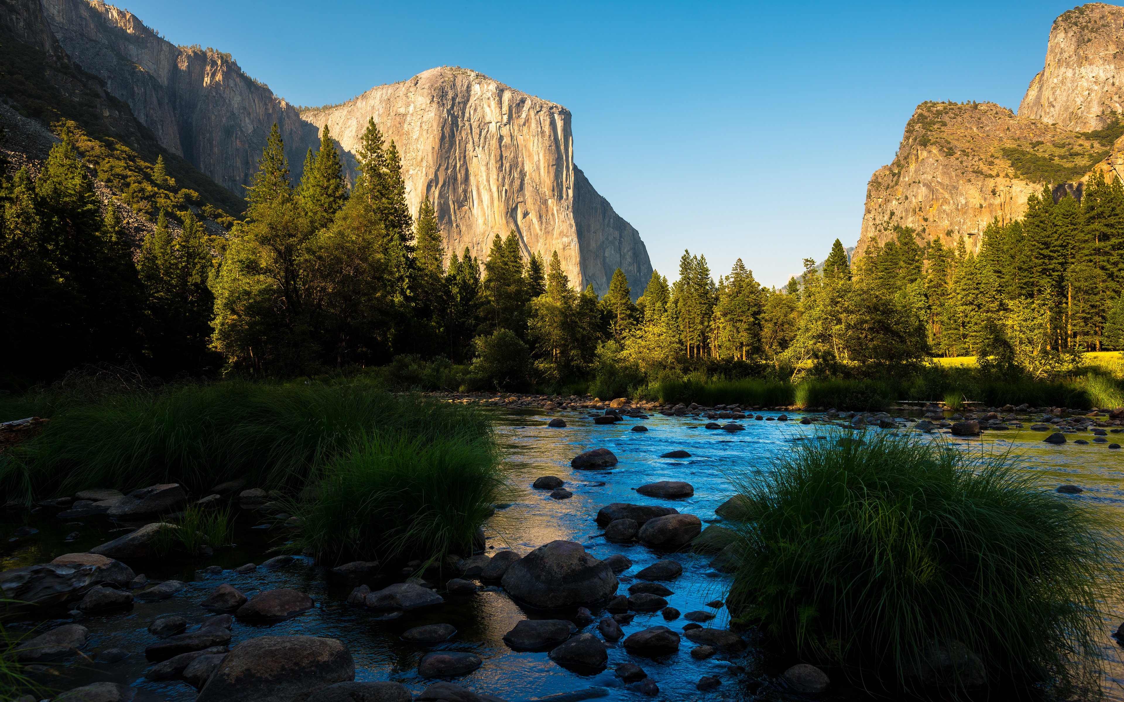 yosemite, National, Park, Panorama, Forest, Mountains Wallpaper