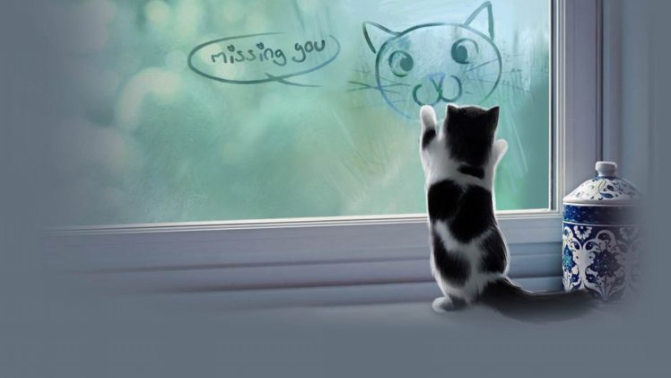 cat, Meme, Quote, Funny, Humor, Grumpy, Kitten, Sad, Love, Mood HD Wallpaper Desktop Background