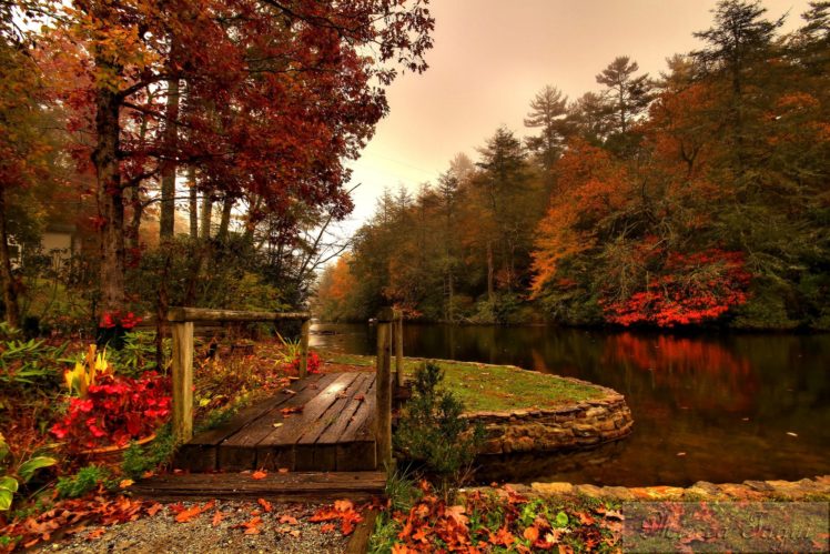 forest, River, Autumn, Bridge HD Wallpaper Desktop Background