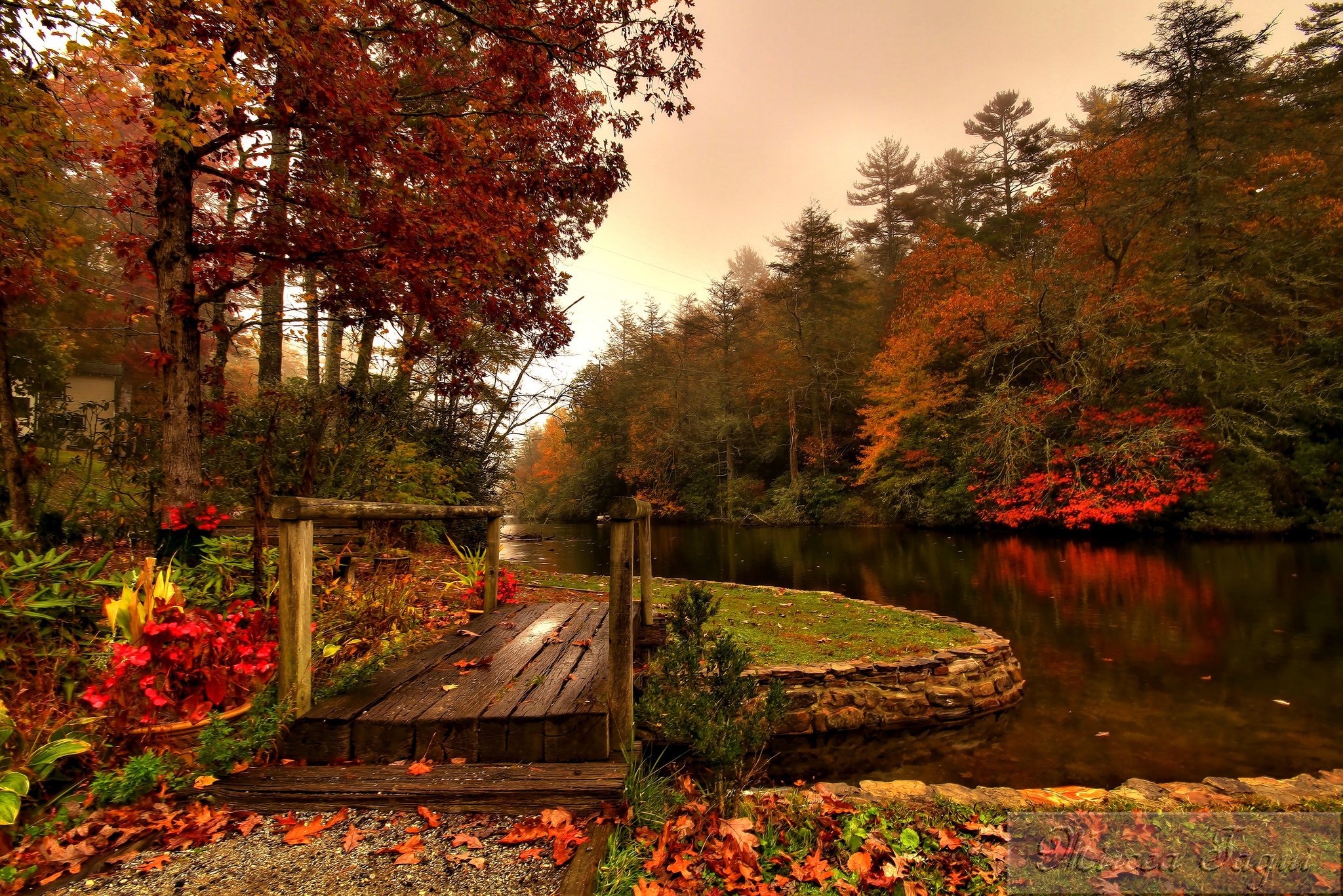 forest, River, Autumn, Bridge Wallpaper