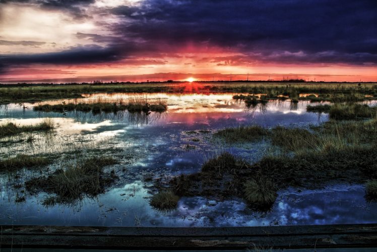 horizon, The, Sun, Swamp, Clouds, Sunset HD Wallpaper Desktop Background