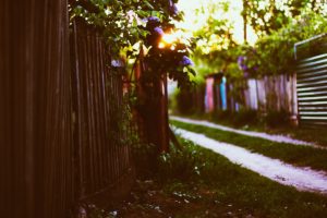 sunset, Fence, House, Grass, Leaves, Spring, Sun, Bokeh, Lilac