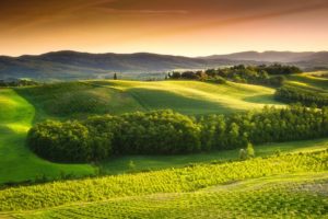 italy, Scenery, Fields, Tuscany, Nature