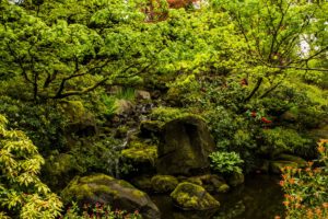 usa, Gardens, Stones, Portland, Japanese, Stream, Nature