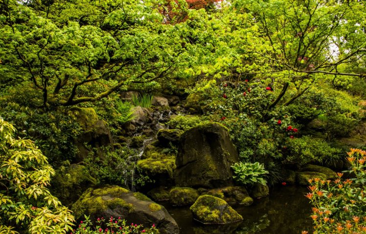 usa, Gardens, Stones, Portland, Japanese, Stream, Nature HD Wallpaper Desktop Background