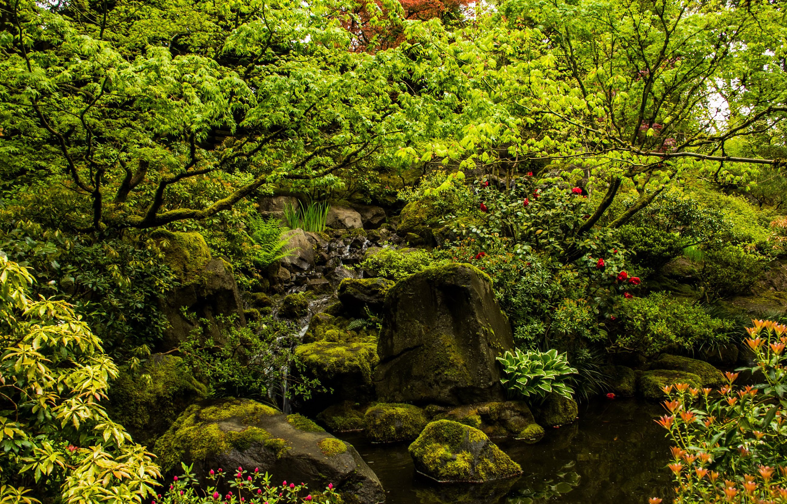usa, Gardens, Stones, Portland, Japanese, Stream, Nature Wallpaper