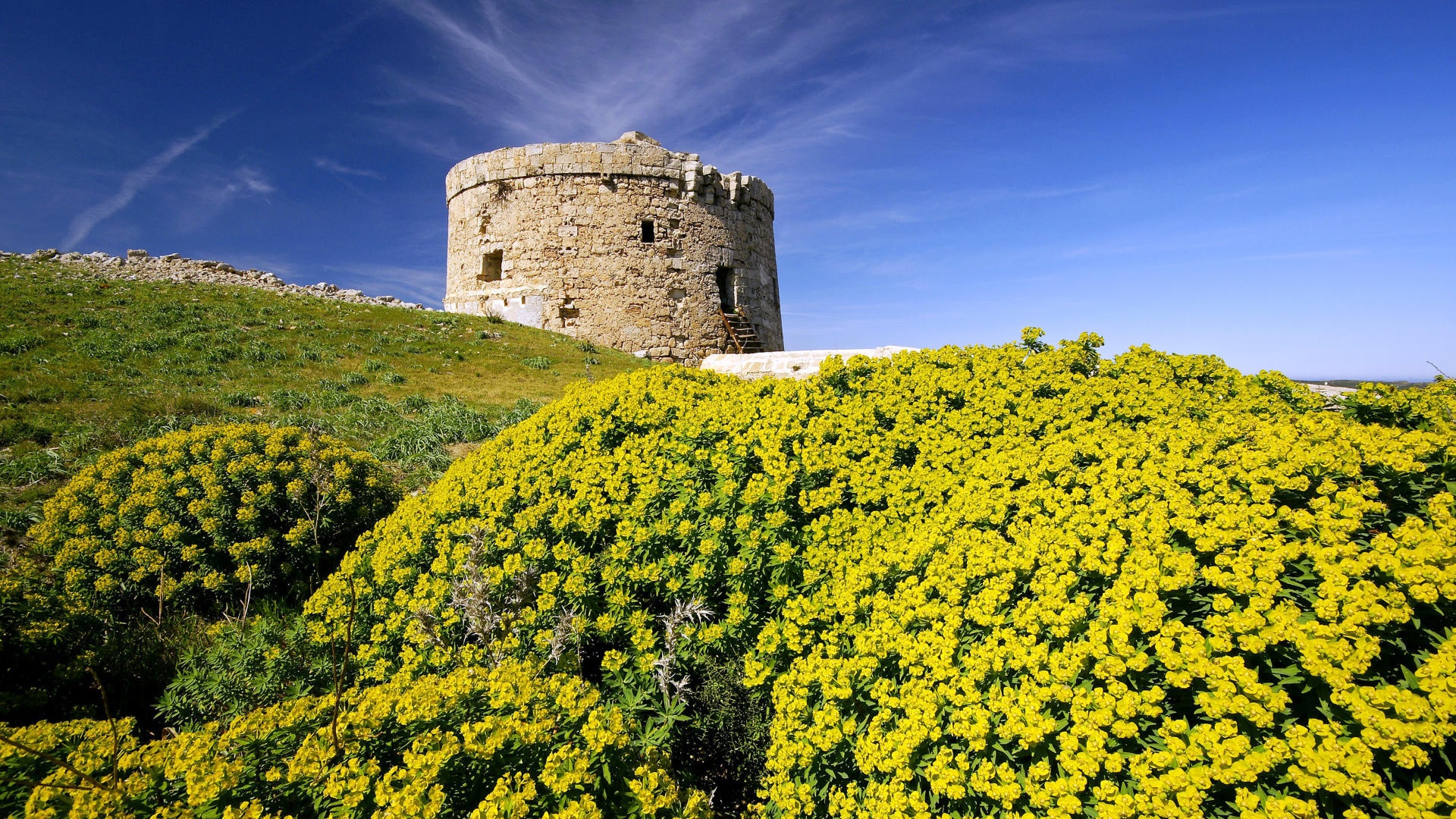 landscpaes, Nature, Flowers, Hills, Architecture, Buildings, Castles, Sky, Decay, Ruins Wallpaper