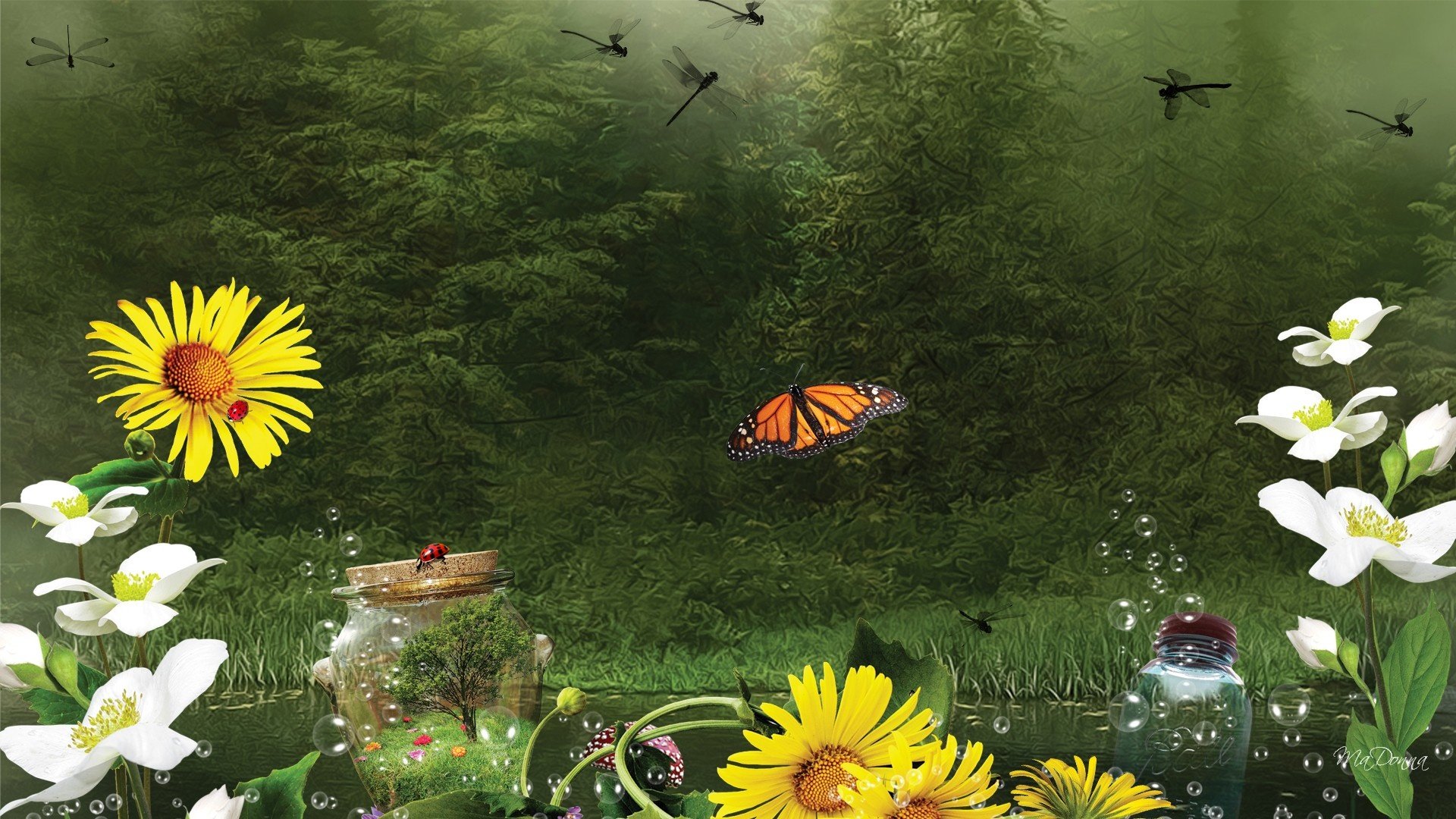flowers, Forest, Butterfly, Bokeh, Lake, Bubbles, Creative, Fantasy Wallpaper