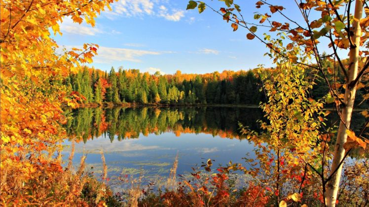 sky, Leaves, Golden, Autumn, Fall, Autumn HD Wallpaper Desktop Background
