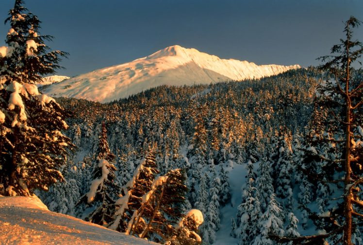 snow, Forest, Mountains, Trees, Landscape, Park, Winter HD Wallpaper Desktop Background