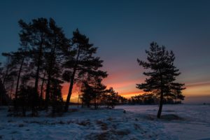 twilight, Snow, Winter, Trees, Sunset