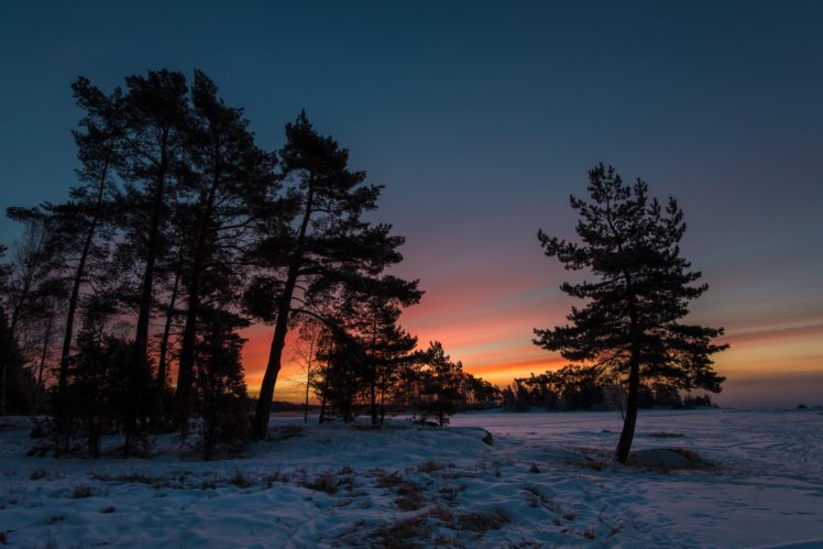 twilight, Snow, Winter, Trees, Sunset HD Wallpaper Desktop Background