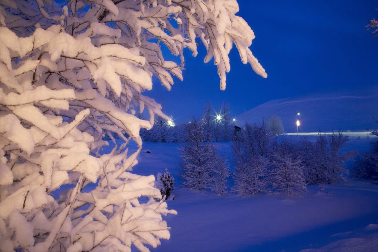 winter, Night, Lights, Trees, Landscape HD Wallpaper Desktop Background