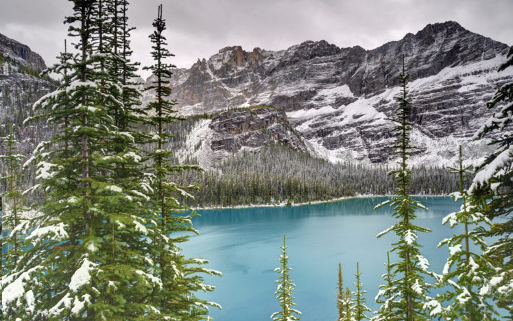 landscapes, Mountains, Snow, Winter, Trees, Forest, Woods HD Wallpaper Desktop Background