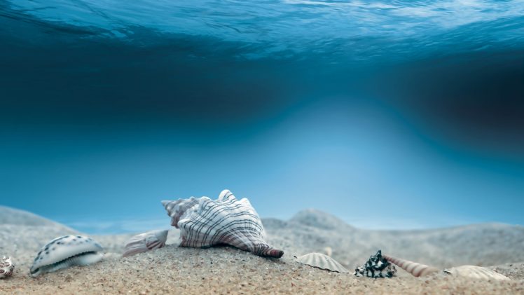 cg, Digital, Art, Ocean, Sea, Water, Underwater, Shells, Sand HD Wallpaper Desktop Background
