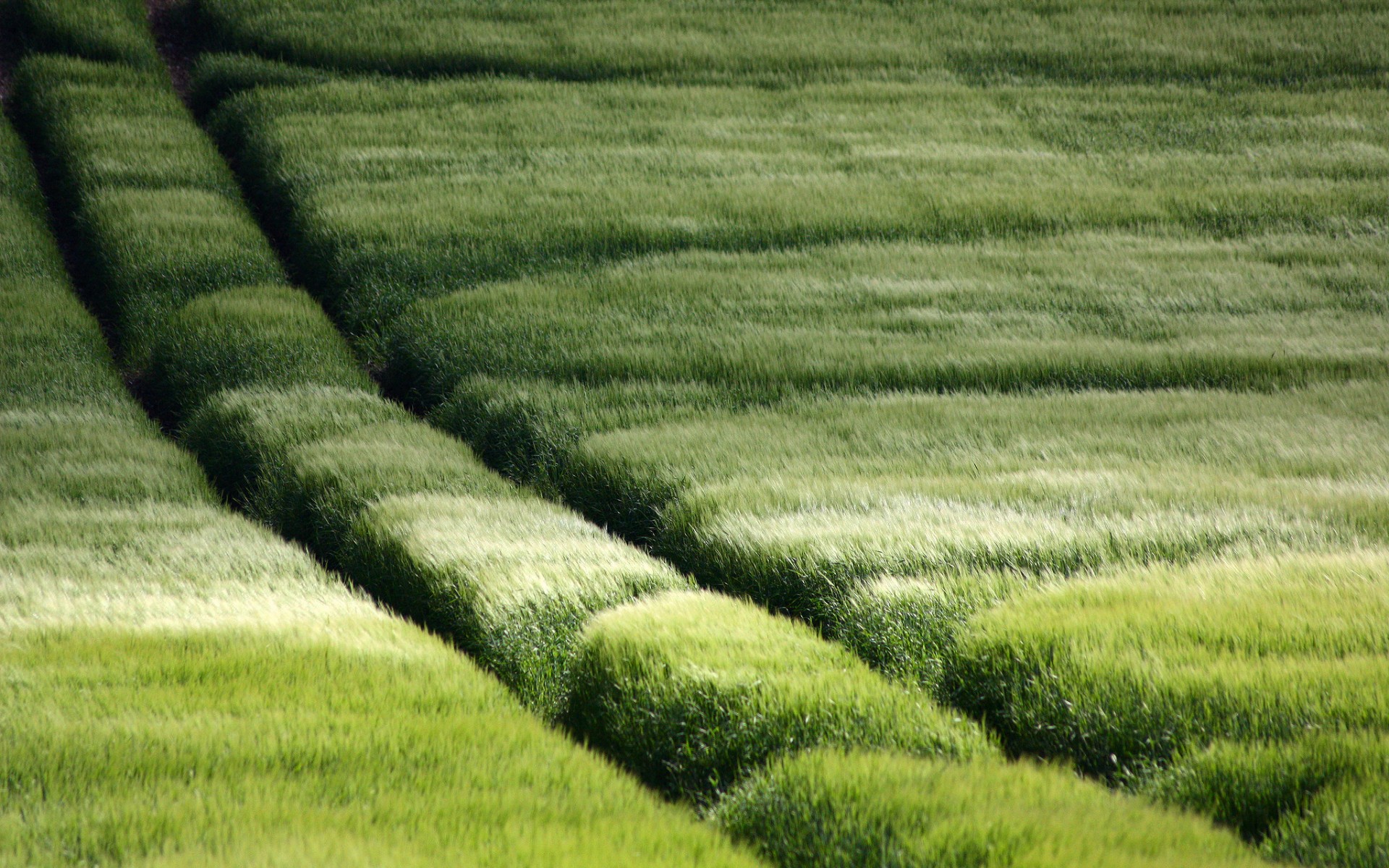 wheat, Grass, Crops, Roads Wallpaper