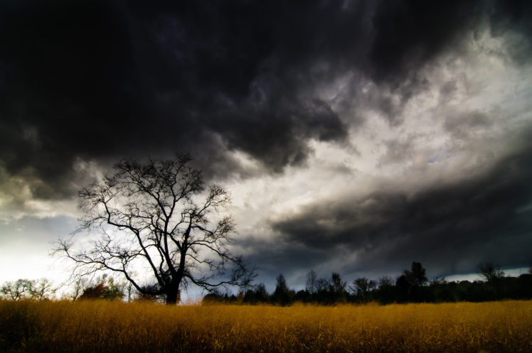 clouds, Storm, Hdr, Landscapes, Trees, Grass HD Wallpaper Desktop Background