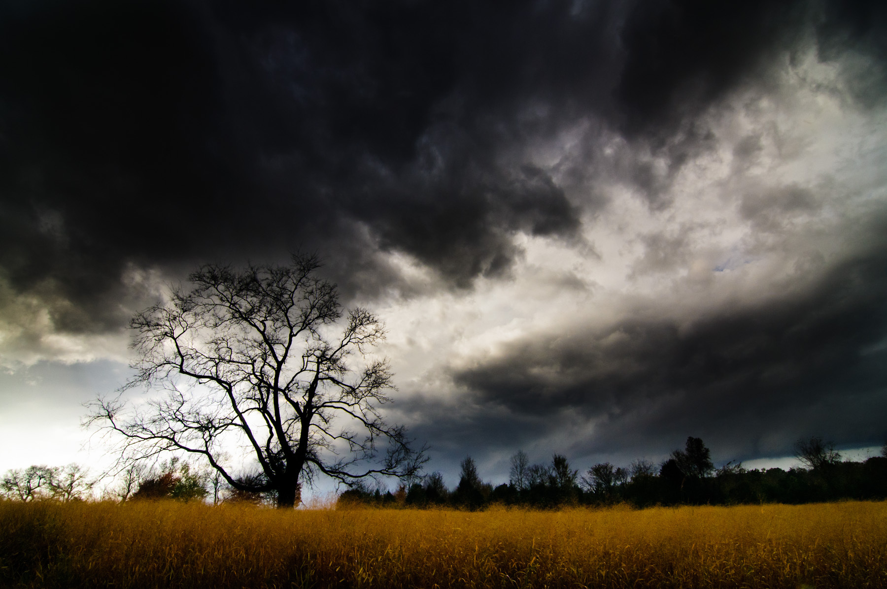 clouds, Storm, Hdr, Landscapes, Trees, Grass Wallpaper
