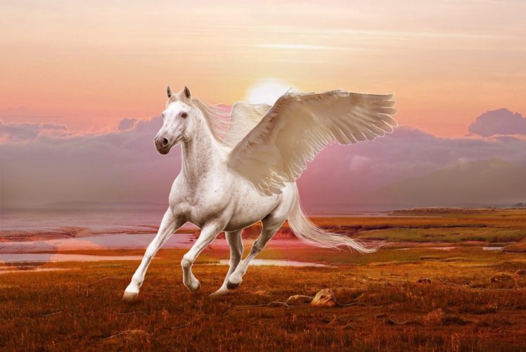 winged, Horse, Pegasus, 3d, Art HD Wallpaper Desktop Background