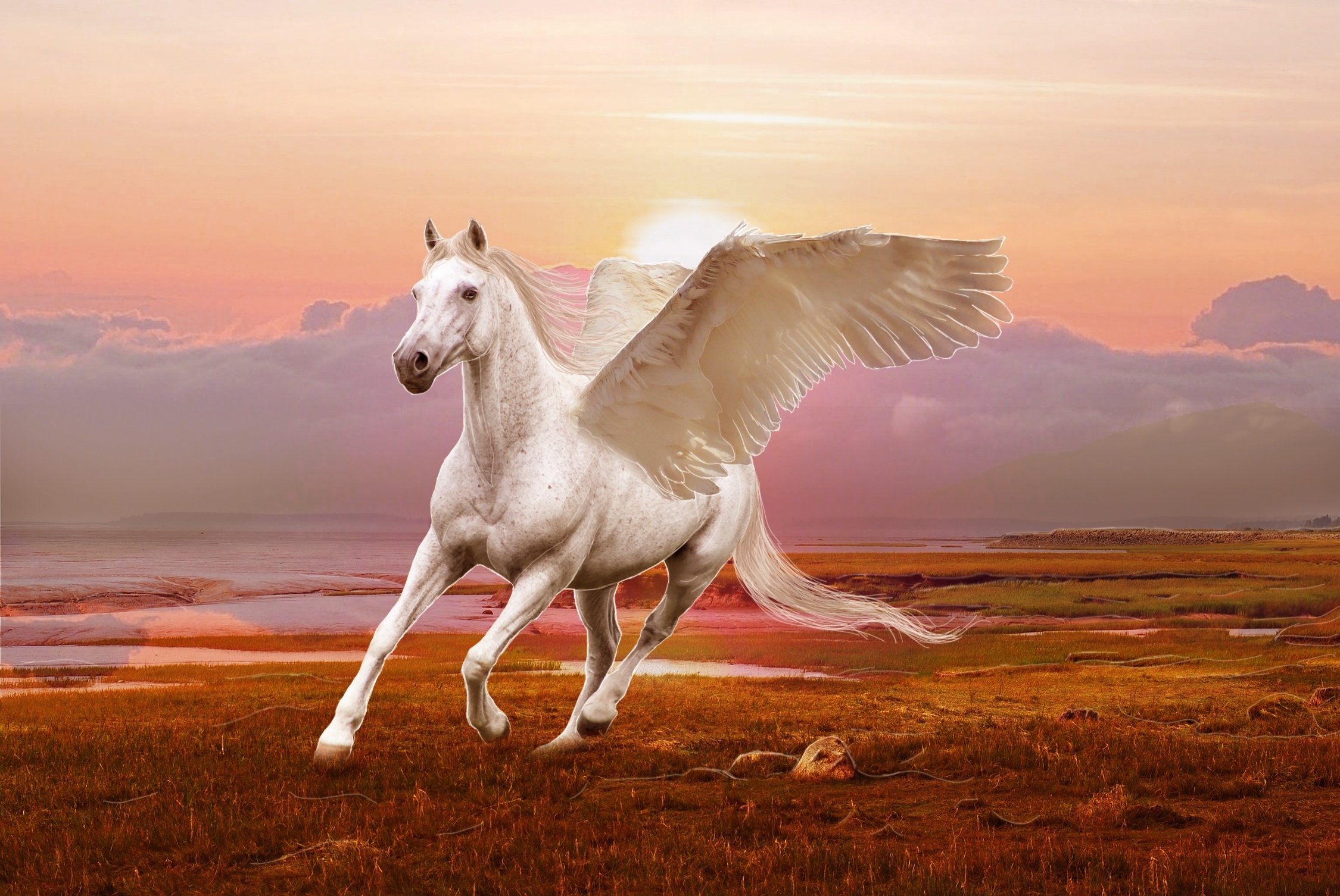 winged, Horse, Pegasus, 3d, Art Wallpaper