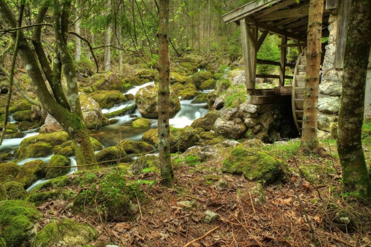 forest, River, Water, Mill, Trees, Rocks, Nature HD Wallpaper Desktop Background