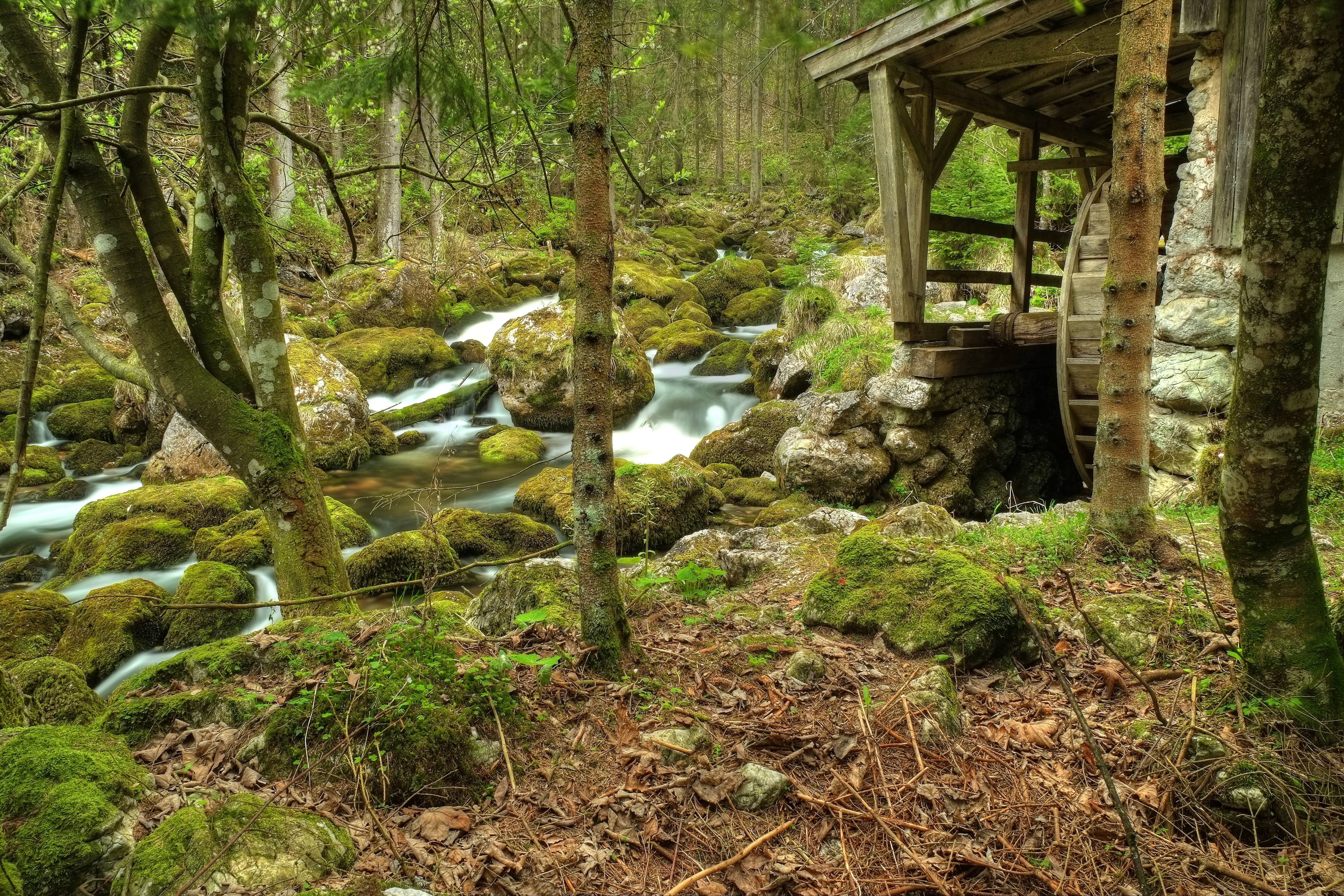 forest, River, Water, Mill, Trees, Rocks, Nature Wallpaper