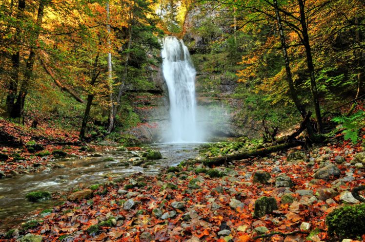 forest, Autumn, Trees, River, Waterfall, Nature HD Wallpaper Desktop Background