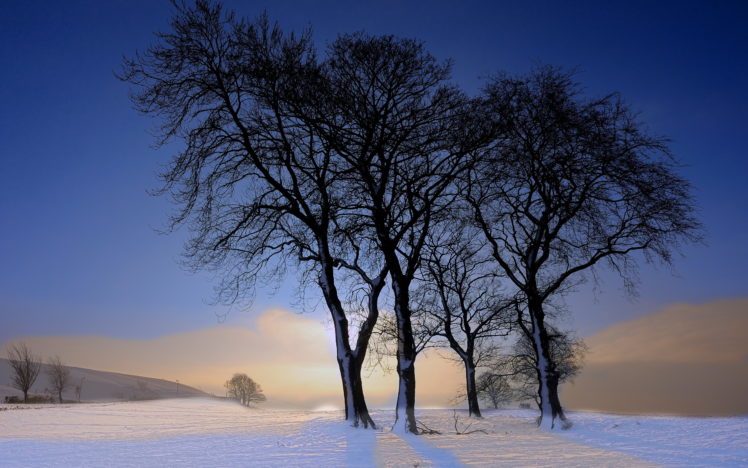 winter HD Wallpaper Desktop Background