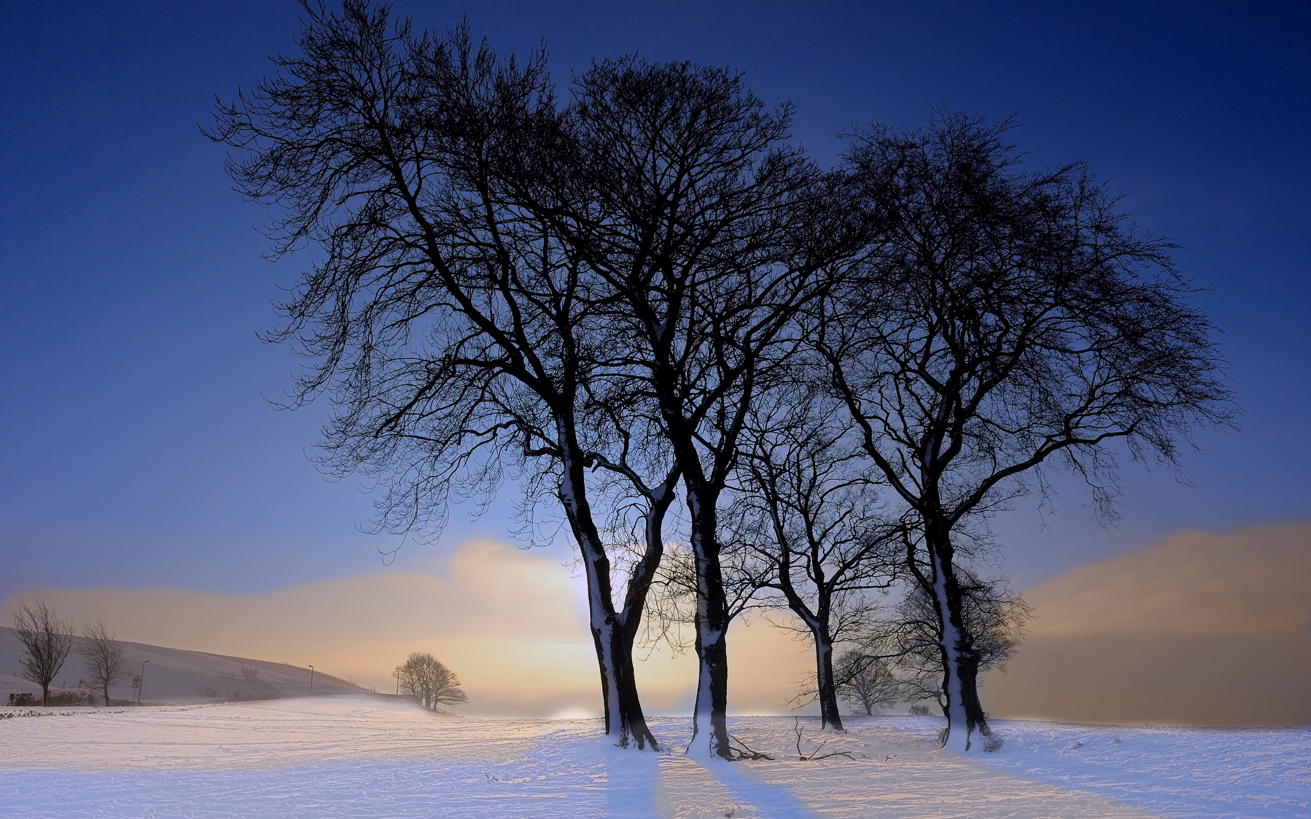 winter Wallpapers HD / Desktop and Mobile Backgrounds