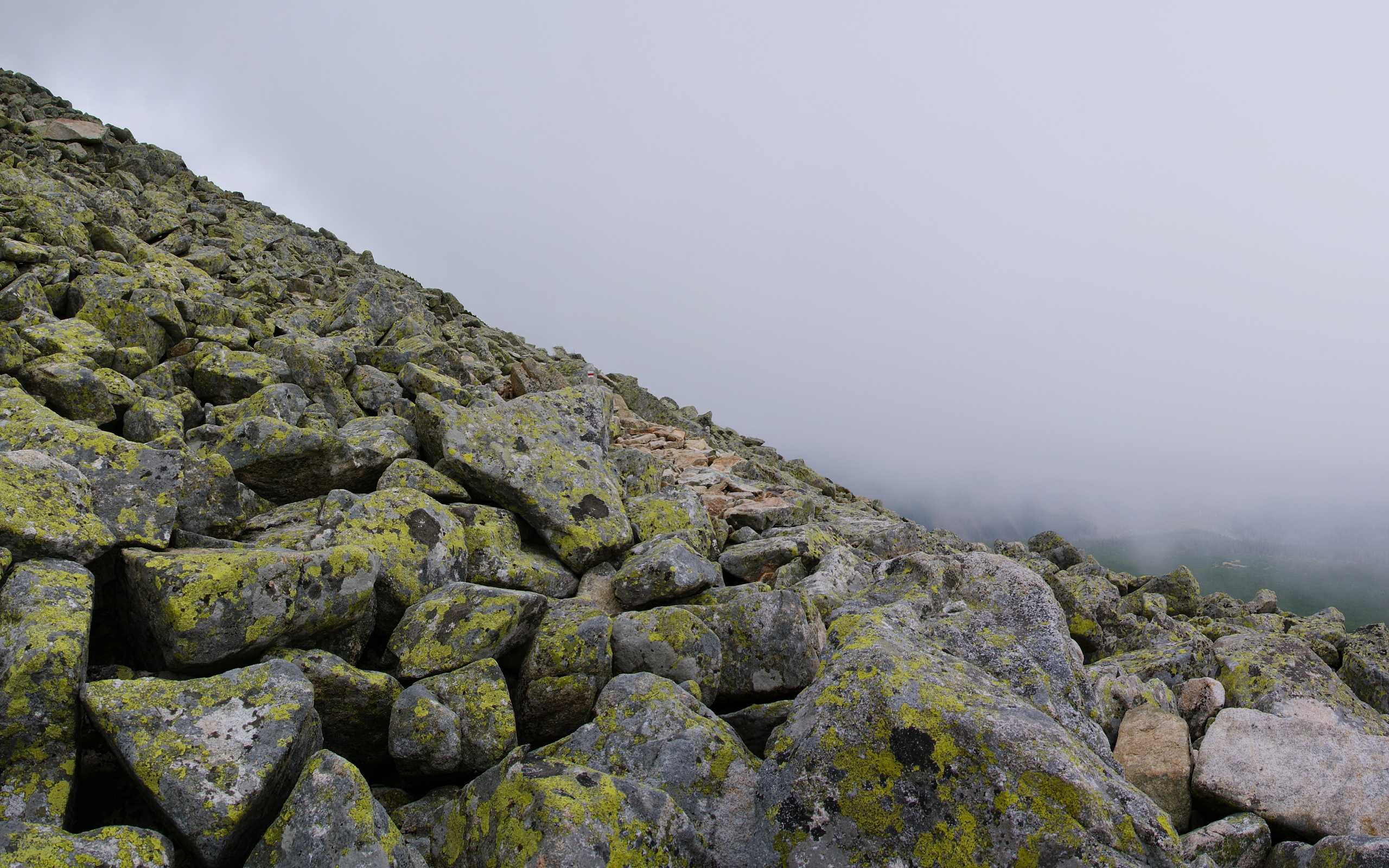 vysoke, Tatry Wallpaper
