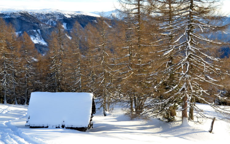 winter, Trees, Mountains HD Wallpaper Desktop Background