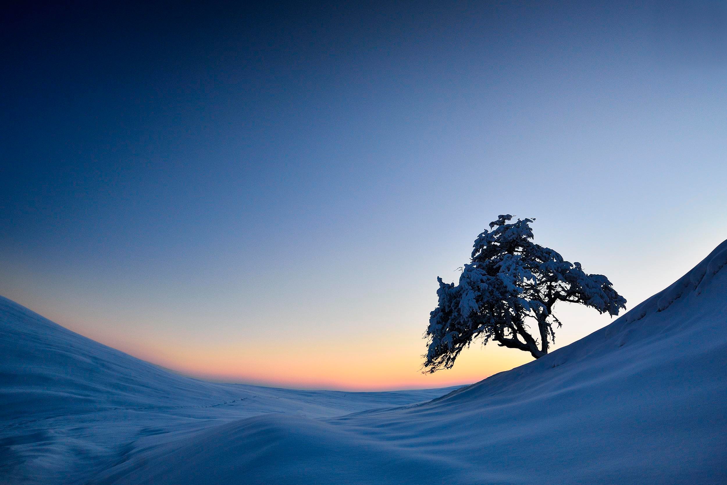 snow, Trees, Slope, Winter Wallpaper