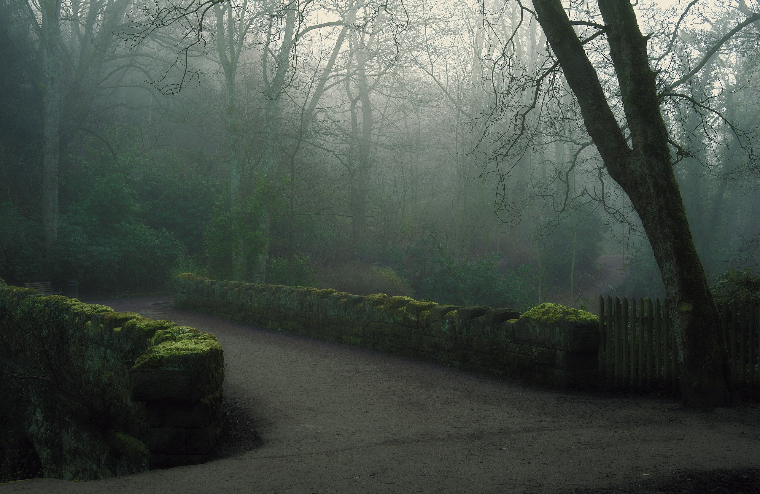 park, Fog, Bridge, Morning, Forest Wallpaper