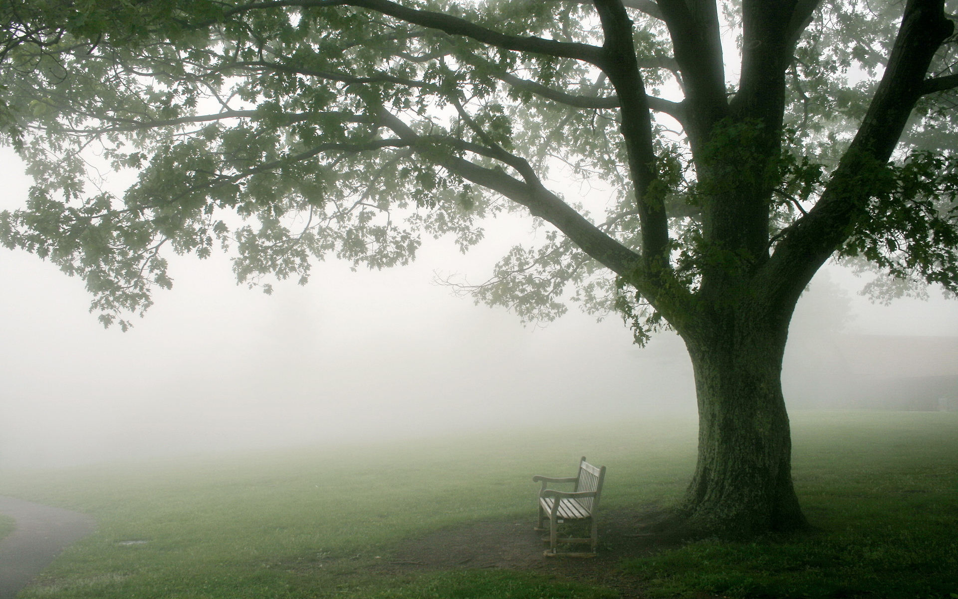 bench, Fog, Mood Wallpaper