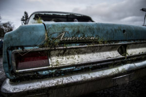 american, Classic, Car, Classic, Overgrowth, Abandon, Deserted, Urban, Decay, Tail, Light, Grass, Dirty
