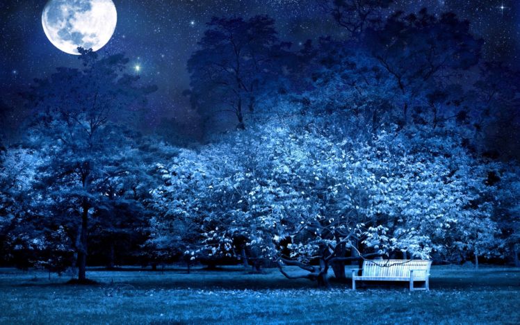 big, Moon, Over, Park HD Wallpaper Desktop Background