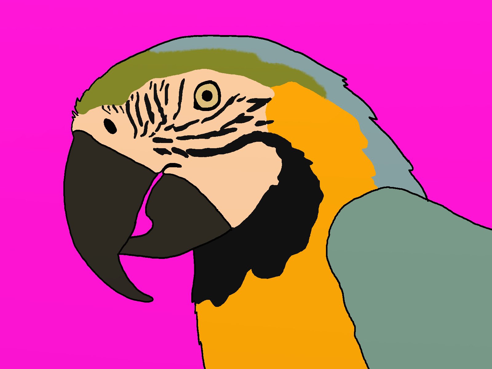 macaw, Parrot, Bird, Tropical, Psychedelic, Artwork, Art Wallpaper