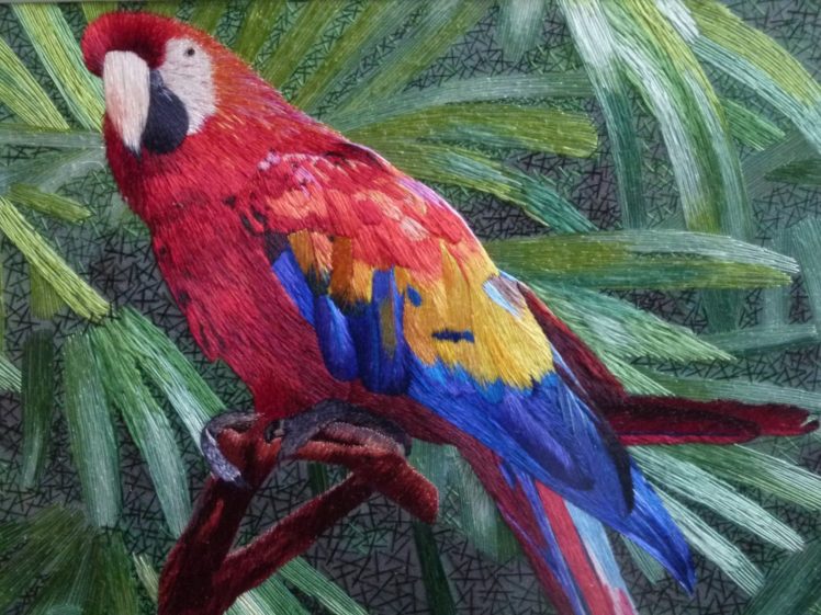 macaw, Parrot, Bird, Tropical,  12 HD Wallpaper Desktop Background