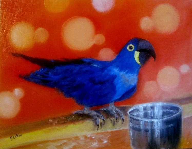 macaw, Parrot, Bird, Tropical, Artwork, Art HD Wallpaper Desktop Background