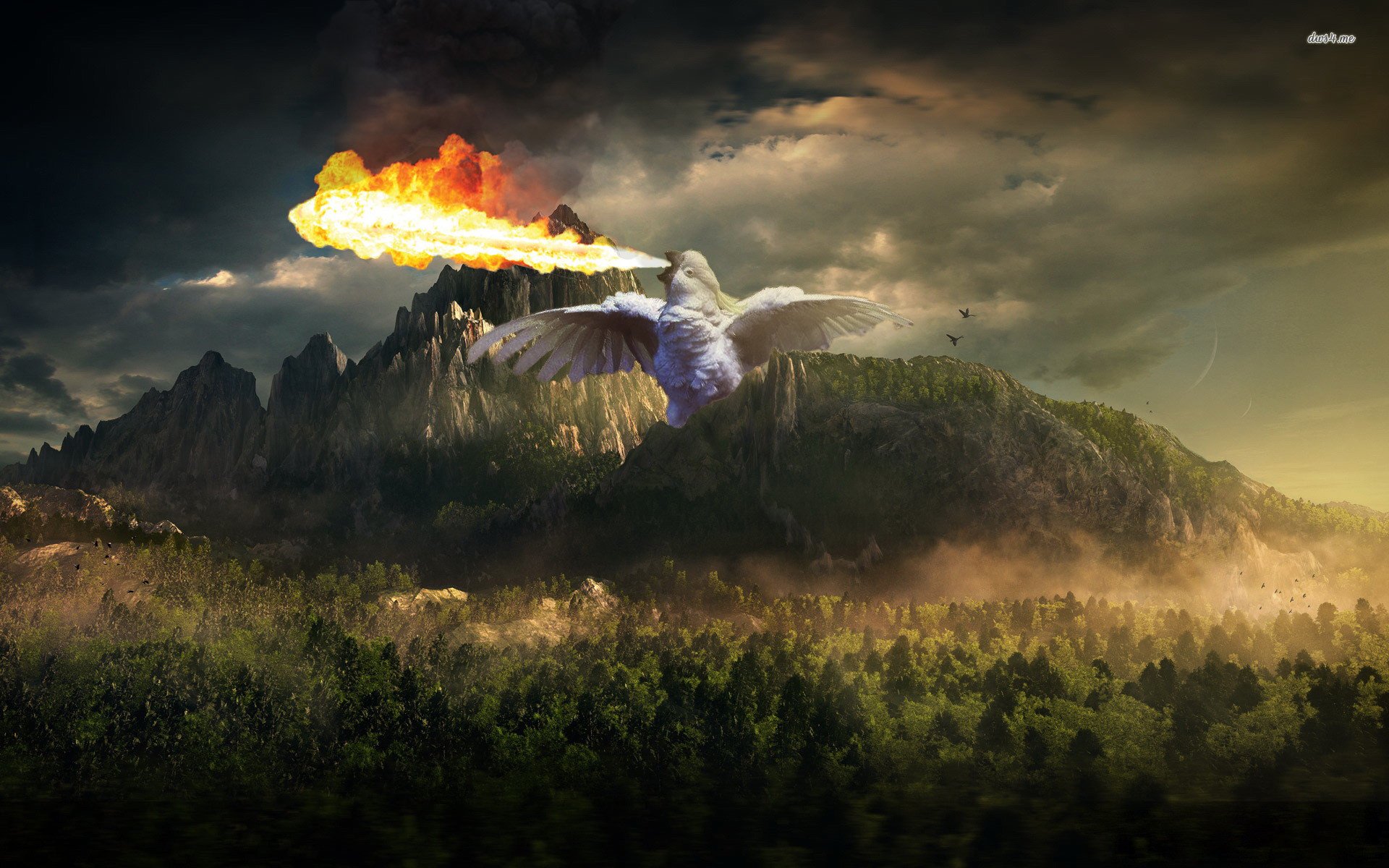 cockatoo, Parrot, Bird, Tropical, Dragon, Fire, Apocalyptic, Dark