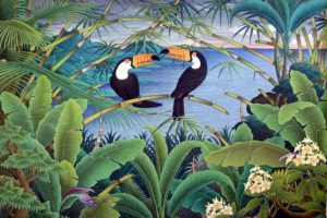 toucan, Parrot, Bird, Tropical,  3 , Jpg