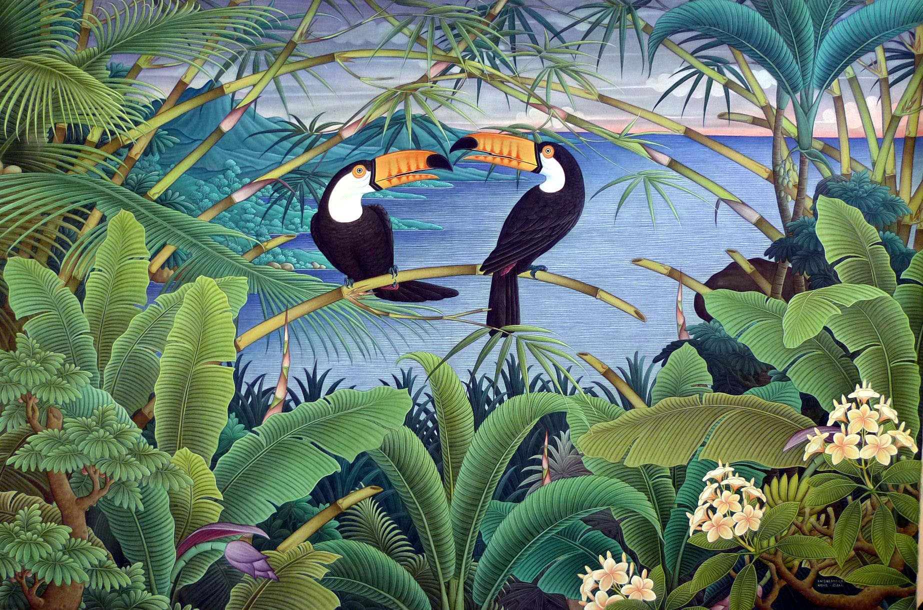 toucan, Parrot, Bird, Tropical,  3 , Jpg Wallpaper