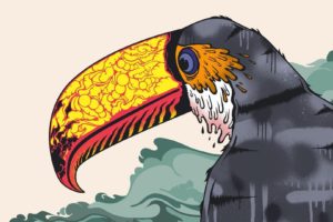 toucan, Parrot, Bird, Tropical,  41