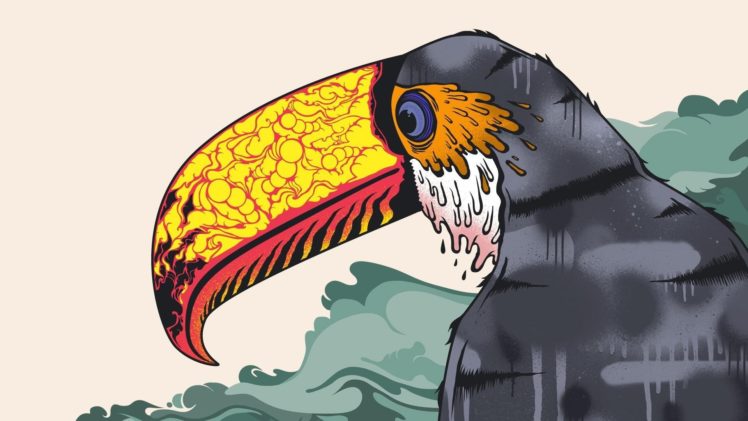 toucan, Parrot, Bird, Tropical,  41 HD Wallpaper Desktop Background