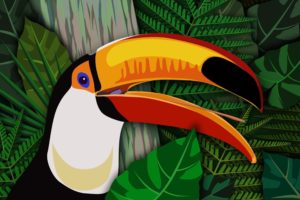 toucan, Parrot, Bird, Tropical,  48