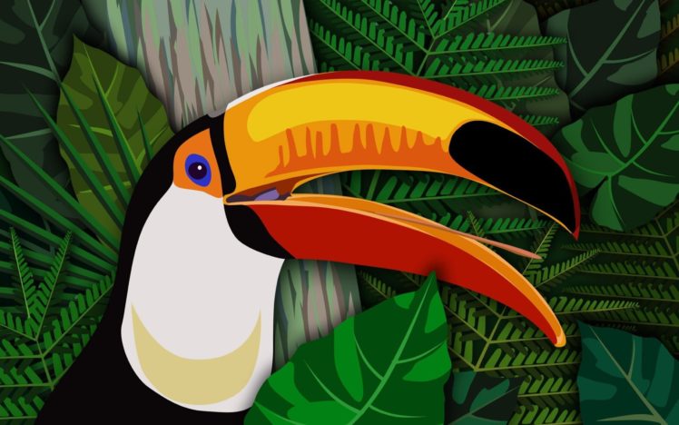 toucan, Parrot, Bird, Tropical,  48 HD Wallpaper Desktop Background