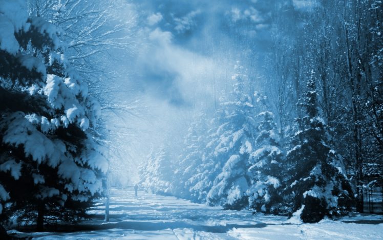 winter HD Wallpaper Desktop Background