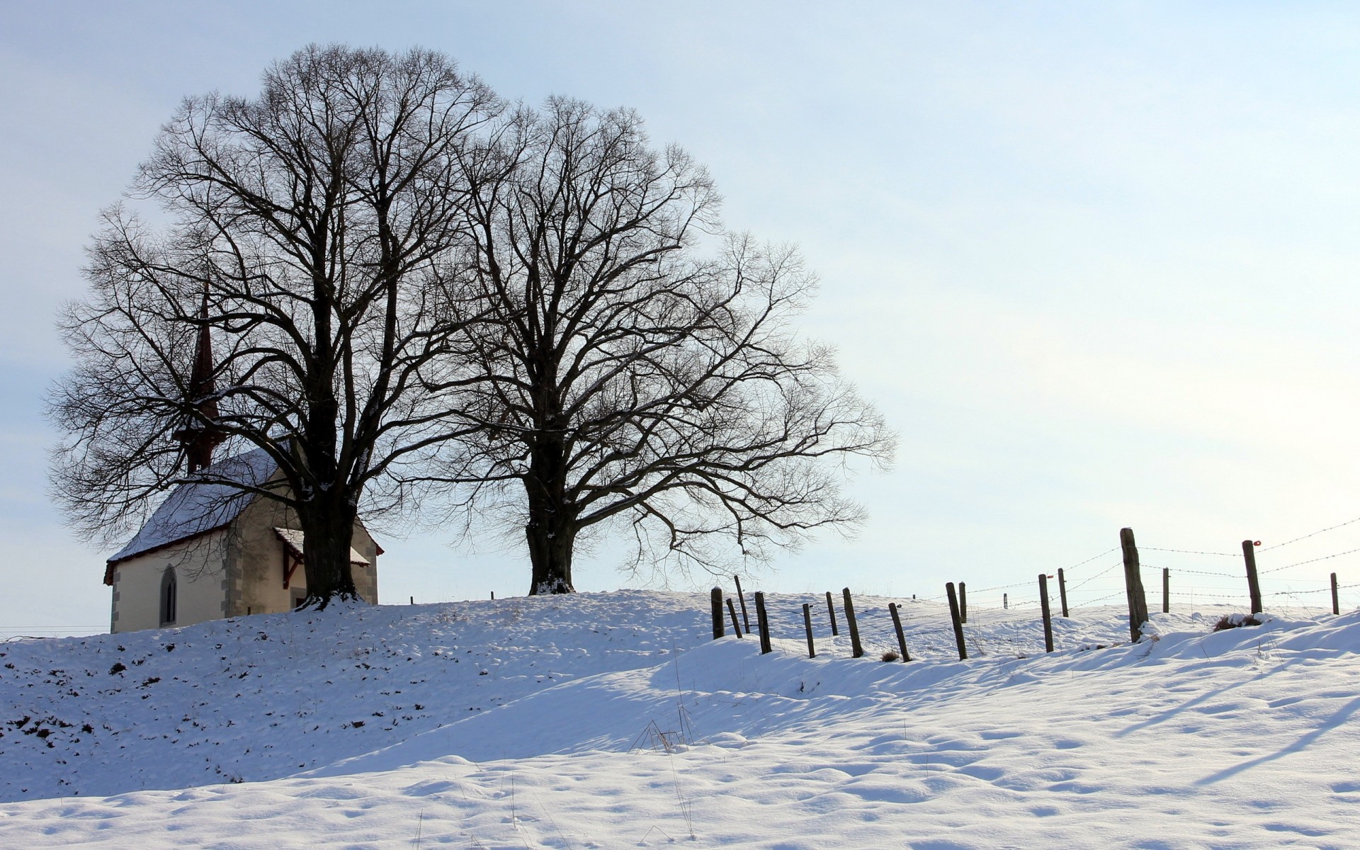 36392 Wallpapers HD / Desktop and Mobile Backgrounds